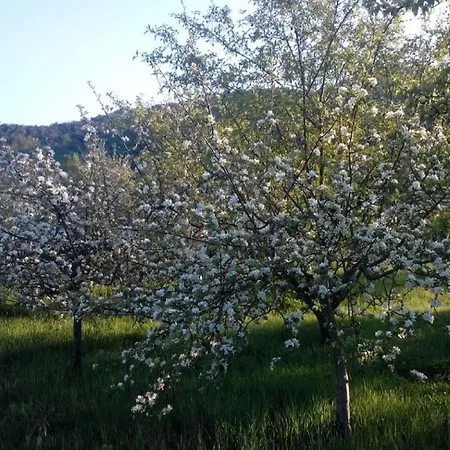 La Casa Nel Casale * Pantanella