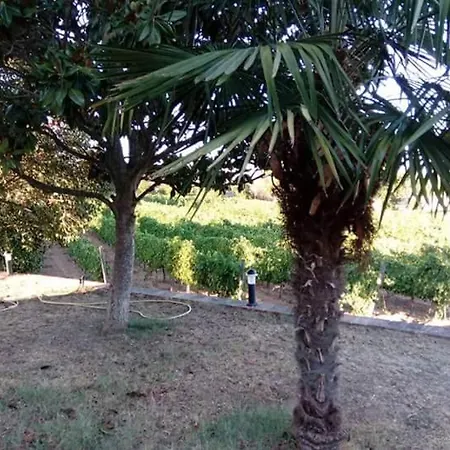 La Casa Nel Casale Appartement *
